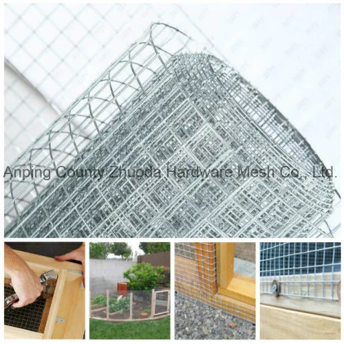 Hot Dipped Galvanized After Welding Chicken Wire Mesh Rabbit Wire Mesh Pigeon Wire Mesh