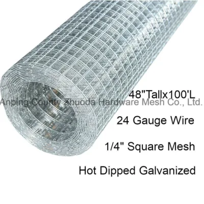 Hot Dipped Galvanized After Welding Chicken Wire Mesh Rabbit Wire Mesh Pigeon Wire Mesh